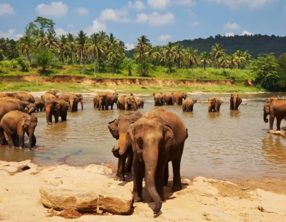 Visiting Sri Lanka
