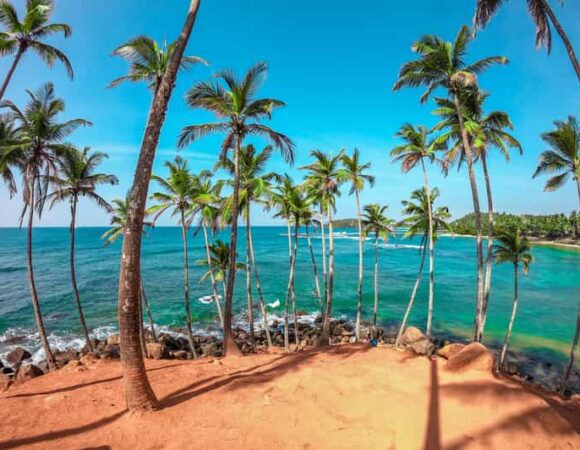 Why Visit Sri Lanka During Winter in Europe