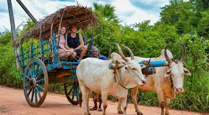 Hiriwadunna Village Tour