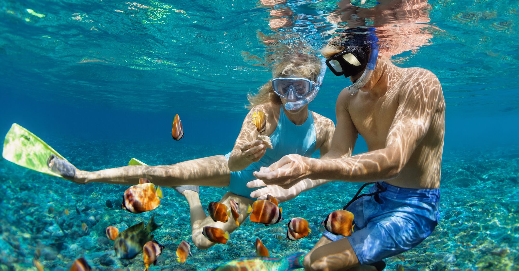 Snorkeling - Coral Reefs In Sri Lanka